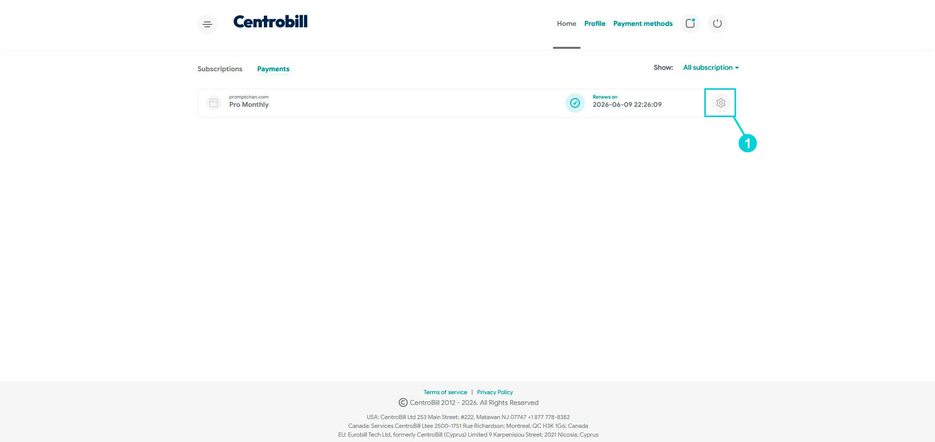 Centrobill: promptchan.com Pro Monthly-abonnement, instellingen-icoon