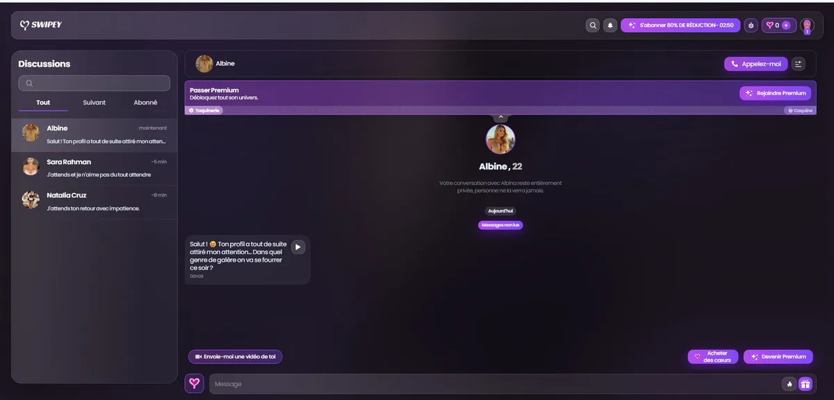 Swipey AI review — chatinterface in Nederlands